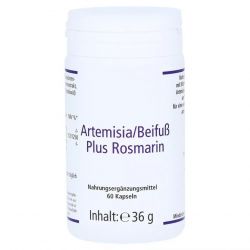 Артемизинин 150 мг капс. 60шт в Кемерове и области фото