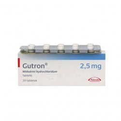 Гутрон таблетки 2,5 мг. №20 в Кемерове и области фото